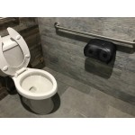 San Jamar R3690TBK Versatwin Ocean Double Roll Toilet Tissue Dispenser - Black Pearl