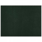 H. Risch, Inc. TABLEMAT15X13GREEN 15 H. Risch, Inc. TABLEMAT15X13GREEN 15