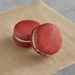 Macaron Centrale Vegan White Chocolate Peppermint Macaron - 24/Case