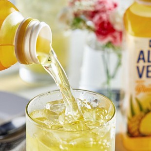 Goya Pineapple Aloe Vera Drink 16.9 fl. oz. - 12/Case