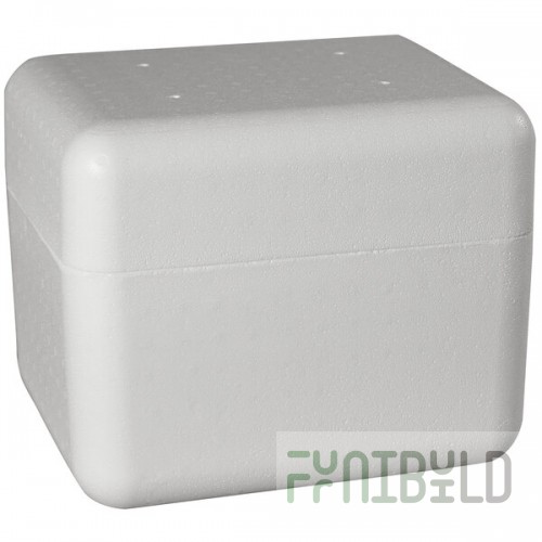 Insulated Foam Cooler 10 3/8
