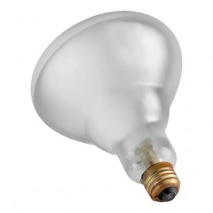 Satco S4885 250 Watt Clear Heat Shatterproof Finish Rough Service Incandescent Light Bulb, 120V (R40) Satco S4885 250 Watt Clear Heat Shatterproof Finish Rough Service Incandescent Light Bulb, 120V (R40)