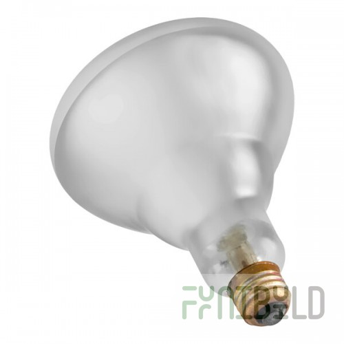 Satco S4885 250 Watt Clear Heat Shatterproof Finish Rough Service Incandescent Light Bulb, 120V (R40)