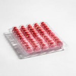 Macaron Centrale Vegan Snickerdoodle Macaron - 24/Case