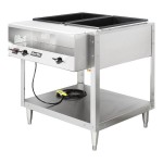 Vollrath 38102 ServeWell® Electric Two Pan Hot Food Table 120V - Sealed Well Vollrath 38102 ServeWell® Electric Two Pan Hot Food Table 120V - Sealed Well