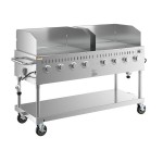Backyard Pro LPG60 60