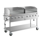Backyard Pro LPG60 60