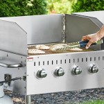 Backyard Pro LPG60 60