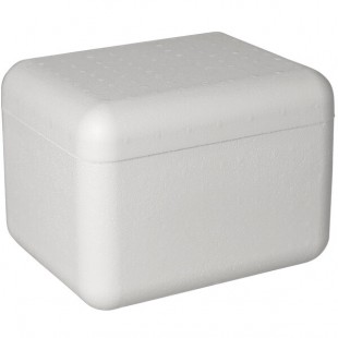 Insulated Foam Cooler 10 3/8
