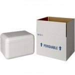 Insulated Foam Cooler 10 3/8 Insulated Foam Cooler 10 3/8