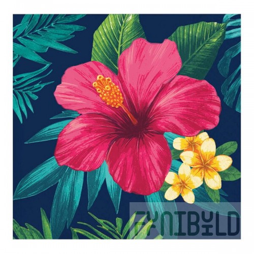 Creative Converting Tropic Time 10