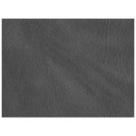 H. Risch, Inc. PLACEMATDX-HARCHARCOAL Harley 16 H. Risch, Inc. PLACEMATDX-HARCHARCOAL Harley 16
