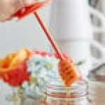 Fox Run 82623 16 oz. Plastic Honey Dipper