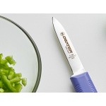 Dexter-Russell 15303P Sani-Safe 3 1/4