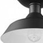 Globe Farmhouse Indoor / Outdoor Matte Black Flush Mount Light - 120V, 60W Globe Farmhouse Indoor / Outdoor Matte Black Flush Mount Light - 120V, 60W