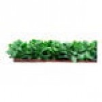 NatraHedge 1100 Series 12 NatraHedge 1100 Series 12