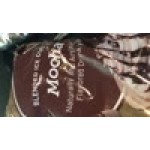 Big Train 3.5 lb. Mocha Blended Ice Coffee Mix - 5/Case