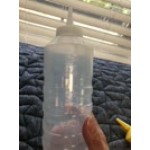 Vollrath 5232-13 Traex® 32 oz. Clear Single Tip Standard Squeeze Bottle