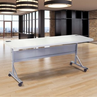 NPS Folding Table, 24