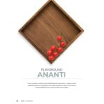 Libbey Ananti 11 1/2