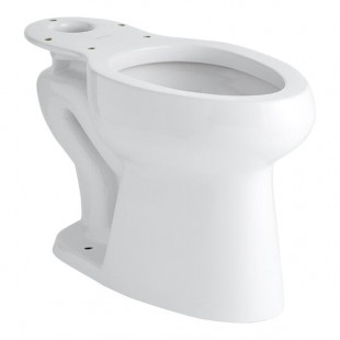 Sloan 2108029 ADA Height Elongated Floor-Mounted Toilet Bowl for 2108013 and 2108016 - 1.0 to 1.6 GPF Sloan 2108029 ADA Height Elongated Floor-Mounted Toilet Bowl for 2108013 and 2108016 - 1.0 to 1.6 GPF