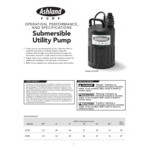Ashland Pump UT56 1 1/4