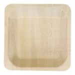 VerTerra 8