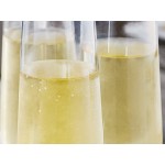 Visions Dynasty 9 oz. Clear Plastic Stemless Champagne Flute with Silver Rim - 64/Case Visions Dynasty 9 oz. Clear Plastic Stemless Champagne Flute with Silver Rim - 64/Case