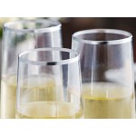 Visions Dynasty 9 oz. Clear Plastic Stemless Champagne Flute with Silver Rim - 64/Case Visions Dynasty 9 oz. Clear Plastic Stemless Champagne Flute with Silver Rim - 64/Case