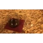 Visions Dynasty 9 oz. Clear Plastic Stemless Champagne Flute with Silver Rim - 64/Case Visions Dynasty 9 oz. Clear Plastic Stemless Champagne Flute with Silver Rim - 64/Case