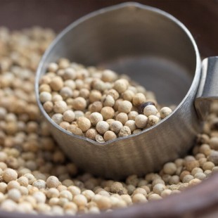 Regal Bulk Whole White Peppercorn - 25 lb.