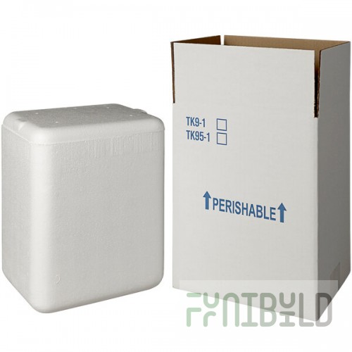 Insulated Shipping Box with Foam Cooler 8 1/4