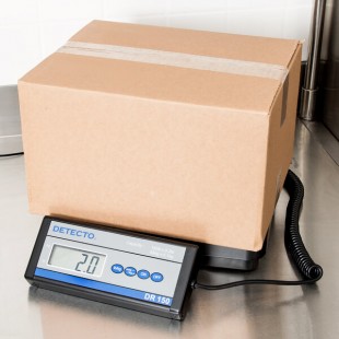 Cardinal Detecto DR150 150 lb. Portable Receiving Scale with Remote Display