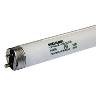 True 801159 T8 Series 18