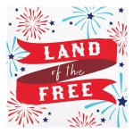 Creative Converting Patriotic Party 12 7/8