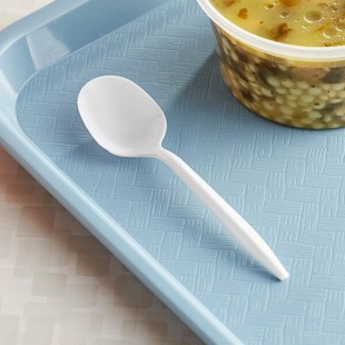 Choice Medium Weight White Polypropylene Plastic Soup Spoon - 2,000/Case