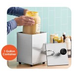 ServSense Single 3.7 Qt. Stainless Steel Condiment Pump Dispenser with 1 oz. Stainless Steel Pump