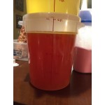 Choice 8 Qt. Translucent Round Polypropylene Food Storage Container Choice 8 Qt. Translucent Round Polypropylene Food Storage Container