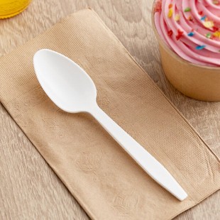 Choice White Heavy Weight Polypropylene Plastic Teaspoon - 1,000/Case