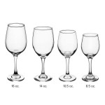Acopa 14 oz. All-Purpose Wine Glass - Sample