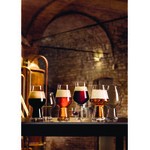 Luigi Bormioli Birrateque from BauscherHepp 14.25 oz. Beer Tester - 24/Case