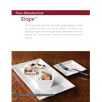 International Tableware Slope 8 International Tableware Slope 8