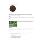 Davidson's Organic Peach Apricot Essence Loose Leaf Tea 1 lb.