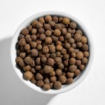 Hometown Provisions Whole Allspice 3.75 lb. - 4/Case Hometown Provisions Whole Allspice 3.75 lb. - 4/Case