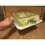 Rubbermaid® 2, 4, 6, 8 Qt. White Square Polyethylene Food Storage Container Lid