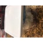 Rubbermaid® 2, 4, 6, 8 Qt. White Square Polyethylene Food Storage Container Lid