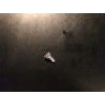 Waring 015434 Screw for Blenders Waring 015434 Screw for Blenders