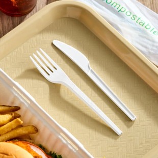EcoChoice Wrapped Heavy Weight Compostable 6 1/2