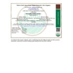 Cocojune Dairy-Free Vanilla Chamomile Coconut Cultured Yogurt Alternative 4 oz. - 12/Case