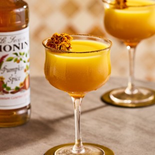 Monin Premium Pumpkin Spice Flavoring Syrup 750 mL